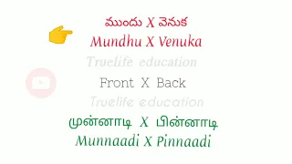 Opposite words in Telugu and Tamil | எதிர்மறையான வார்த்தைகள் | వ్యతిరేక పదాలు | Truelife education