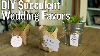 Succulent Wedding Favors