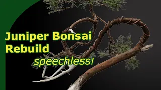 Redesigning a neglected Juniper Bonsai in 7 steps