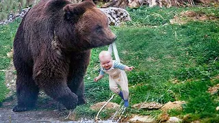 The Bear Brought The Baby To The People At The Risk Of His Life. The Real Truth Is Incredible!