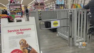 Safeway Installs Barriers To Deter Thefts At Store In San Francisco