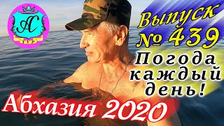 🌴 Абхазия 2020 погода и новости❗28 декабря 💯 Выпуск №439🌡ночью +5°🌡днем +18°🐬море +13,6°🌴