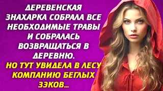 🟢 Деревенская знахарка собрала все необходимые травы и собралась возвращаться в деревню. Но тут...