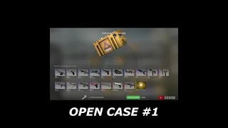 OPEN CASE #1