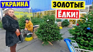 ⚡ ШОКИРУЮЩИЕ Цены на Ёлки в Украине!!! Новый Год 2023 ОТМЕНЯЕТСЯ?!