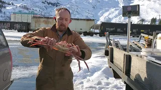 Crab Shucking for the First Time