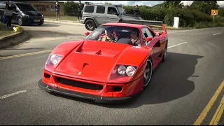 ROAD LEGAL Ferrari F40 LM Crazy Sounds and Accelerations!