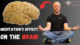 Science of Meditation: Brain Waves 101