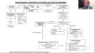 Conferencia "Demanda improponible en los procesos civil, laboral, agrario y familia"