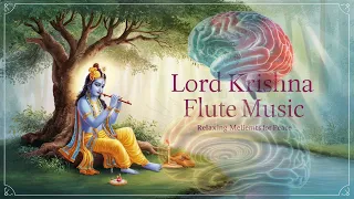 All time best Krishna flute music | best mind changing music 🎶 | Krishna flute music | Mind relax 🎧🎧