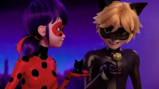 let me down slowly. miraculous amv. New York Special Spoilers