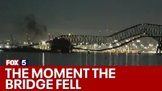 Baltimore bridge collapse: Economic impact | FOX 5 News