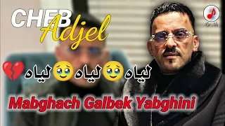 Cheb Adjel 2024 Liyah Liyah 🥹 Mabghach Galbek شيخ الشيوخ العجال ♥️ مابغاش قلبك يبغيني