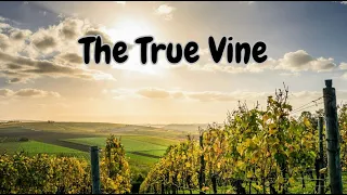 The True Vine (Pastor Ed Lapiz)