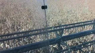 Gleaner R62 milo harvest 2019