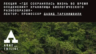 Давид Тархнишвили:"Где сохранялась жизнь во время оледенения? Хранилища биологического разнообразия"