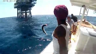 Trinidad Handline Fishing around the Rigs for Barracuda