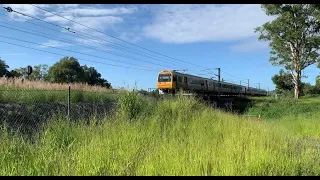 Thursday morning peak near Wacol station at Pooh's Corner Bushland Reserve