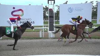 240427 c06 - ALCYONE (ARG) - HIPODROMO LAS PIEDRAS - PREFERENCIAL "MUNICIPIO DE LAS PIEDRAS"