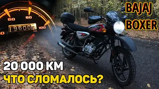 Bajaj Boxer  —  спустя 20 000 км / Отзыв, поломки, допы / Идеальный утилитарный мотоцикл?