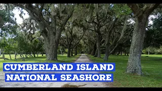 Guide to Cumberland Island National Seashore | Beach/Hiking/Horse/Biking/Camping/Historical Sites