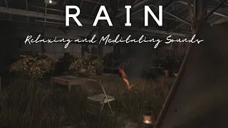 Abandoned Greenhouse Rain 4k | Fallout4