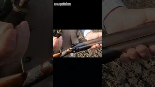 Muzzle loading pheasant hunt - TEASER