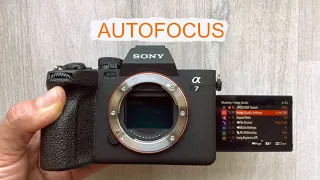 Autofocusul de pe Sony A7 IV ??!!