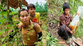 Hung was away at work worrying about Huong and San San - Hung quickly returned to the farm.