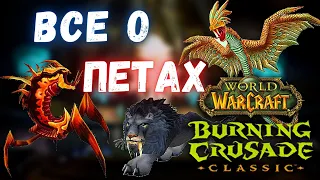 Все о петах Охотников | Полный гайд о питомцах | WoW Burning Crusade Classic