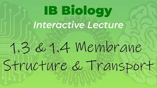 IB Biology 1.3 & 1.4 - Membrane Structure & Transport - Interactive Lecture