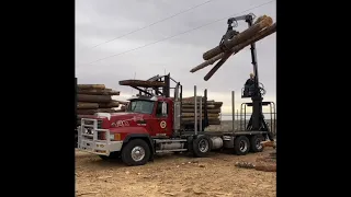 Ancestral Lands Hopi - Winter Firewood Project