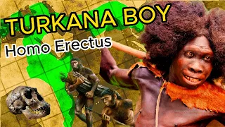 Homo Erectus: Turkana Boy