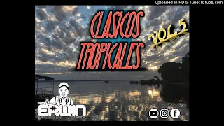 CLASICOS TROPICALES VOL.5 - ERWIN DJ PY
