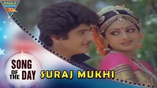 Song Of The Day 138 || Bollywood Best Songs || Suraj Mukhi Video Song || Kalakaar Movie