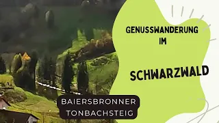 Schwarzwald-Wanderung: Baiersbronner Tonbachsteig