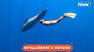 Фридайвинг с китами