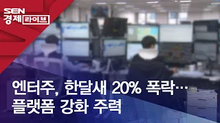 엔터주, 한달새 20% 폭락…플랫폼 강화 주력