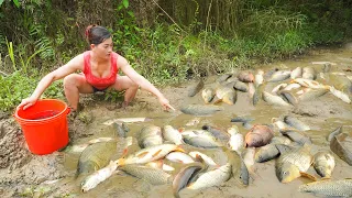 Unique fishing: the village girl drained the water from the ditch catch a lot of fish