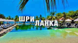 ШРИ-ЛАНКА❗️ОБЗОР ОТДЫХА НА ВОСТОЧНОМ ПОБЕРЕЖЬЕ! ЦЕНЫ, ЭКСКУРСИИ, ЧТО ПОСМОТРЕТЬ? ОТЕЛЬ В ПАСИКУДЕ!