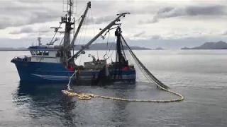 Salmon fishing in Alaska 2017