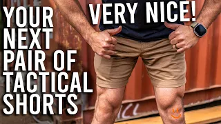 THE PERFECT SHORTS? My Favorite Anyway - Vertx Delta Stretch LT Shorts Review