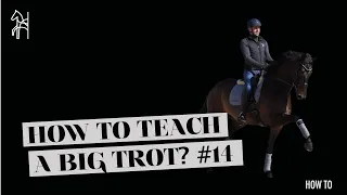 How To Teach Your Horse To Trot Big | Dressage Tutorial | Begijnhoeve | How To #14