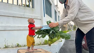 Bibi harvests vegetables to cook and sell for money while on countryside!