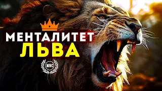 МЕНТАЛИТЕТ ЛЬВА - Лучшее мотивационное видео 2023 🧡