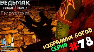 Ведьмак 3: Дикая Охота | Прохождение cерия #78 | Избранник богов