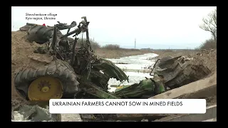 Global food problem as Ukrainian farmers cannot sow in mined fields