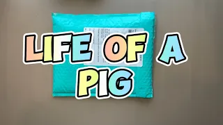 The Life of a Pig Book from Marlene at SnowGardner307