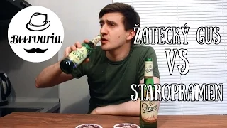 Žatecký Gus VS Staropramen (#beervaria)