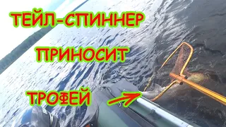 ТЕЙЛ - СПИННЕР ПРИНОСИТ ТРОФЕЙ